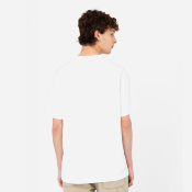 DICKIES - SUMMERDALE TEE SS - WHITE