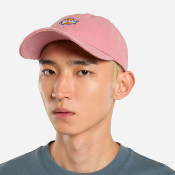 DICKIES - HARDWICK DUCK CANVAS CAP - Lilas