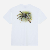 POLAR - GREEN SPIDER TEE - White