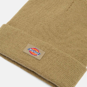 Dickies - GIBSLAND BEANIE - Imperial Green