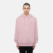 DICKIES - PLENTYWOOD HOODIE - LILAS