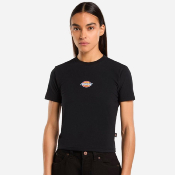 DICKIES - MAPLE VALLEY REG TEE W - Black