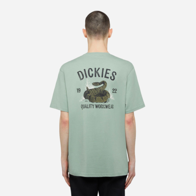 DICKIES - SNAKE SS TEE - Iceberg Green