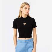 DICKIES - MAPLE VALLEY TEE - Black